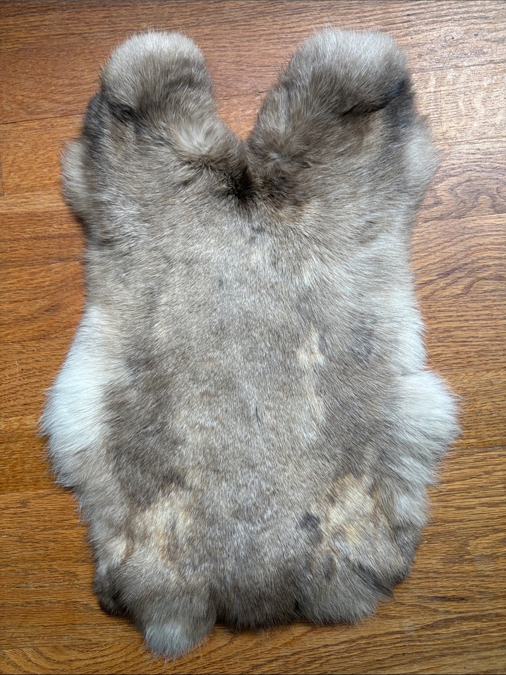 0060 rabbit fur pelt